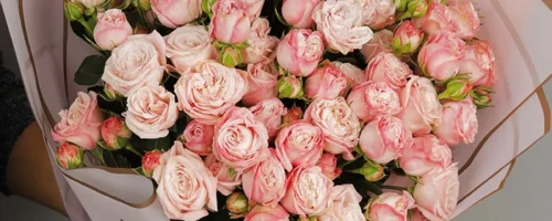 lwn24.com