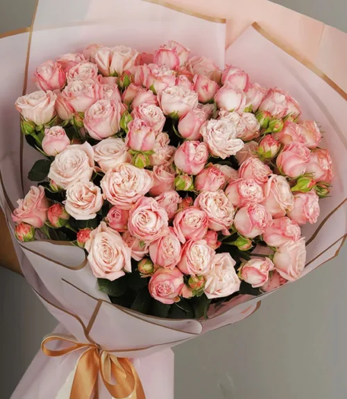 lwn24.com
